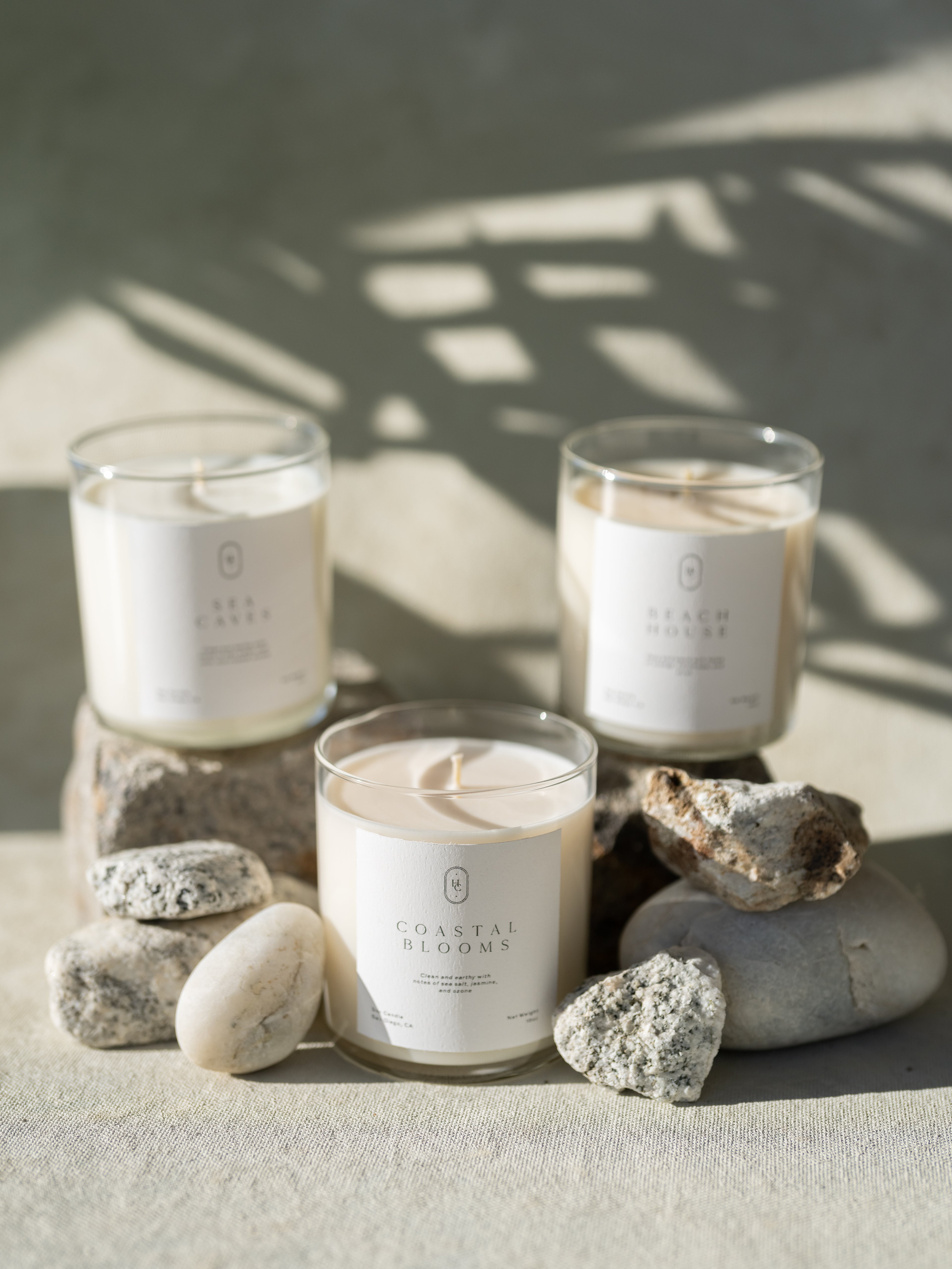 Sunlit Grove Tumbler Candle